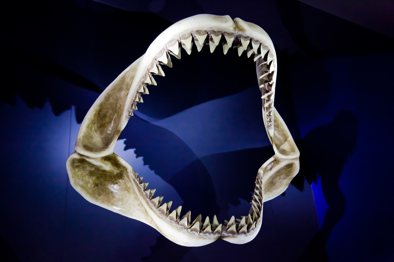 İnvisalign Nedir?